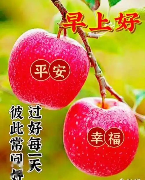 最新中老年微信早安问候美图精选句子!天寒地冻,注意保暖!