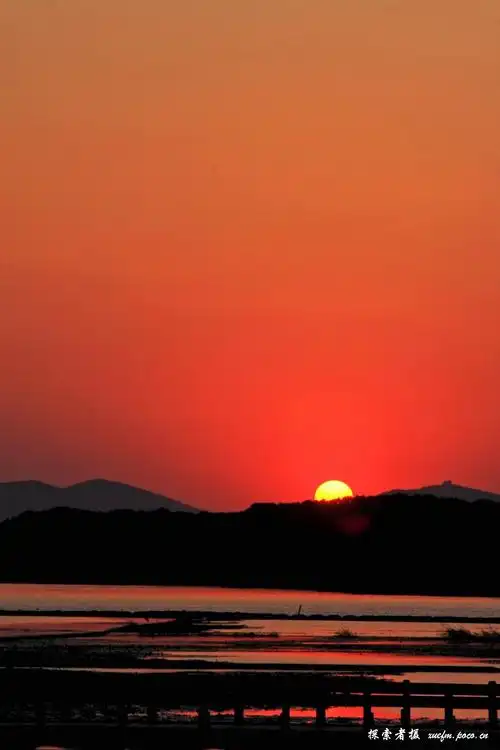 标题:醉美夕阳红