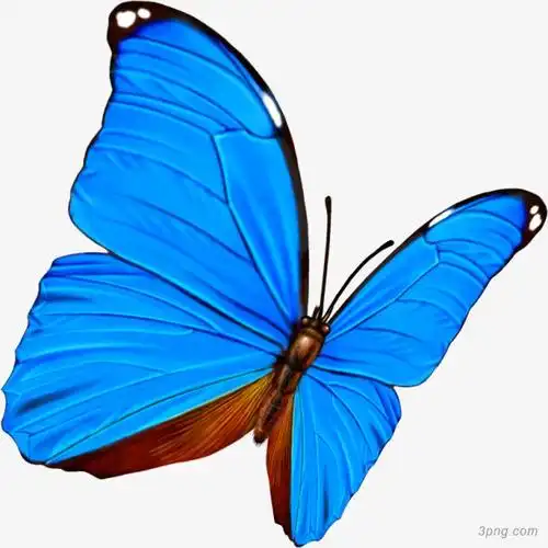 手绘蓝色漫画蝴蝶png素材透明免抠图片卡通手绘