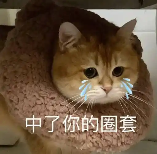 聊天实用表情包:你好厉害哦_生活_公众_il