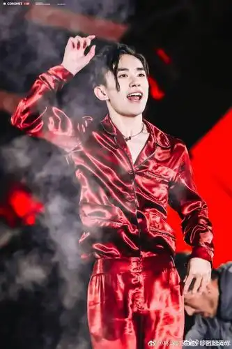 易烊千玺最美红海 tfboys五周年演唱会现场,鹤们撑起的一片红海,大佬