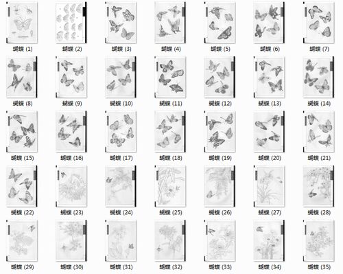 中国古典工笔蝴蝶手绘临摹线稿素材图库 39 130mb jpg格式