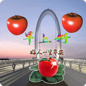 中老年表情包早上好中午好晚上好很高兴认识你