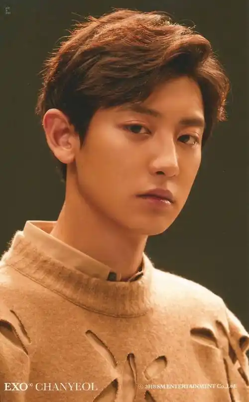 朴灿烈chanyeolexo壁纸
