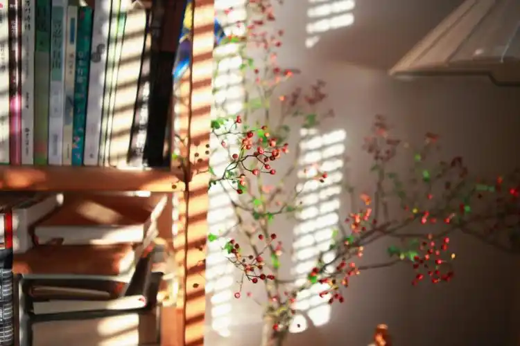 居家冬日的家阳光透过木质百叶窗