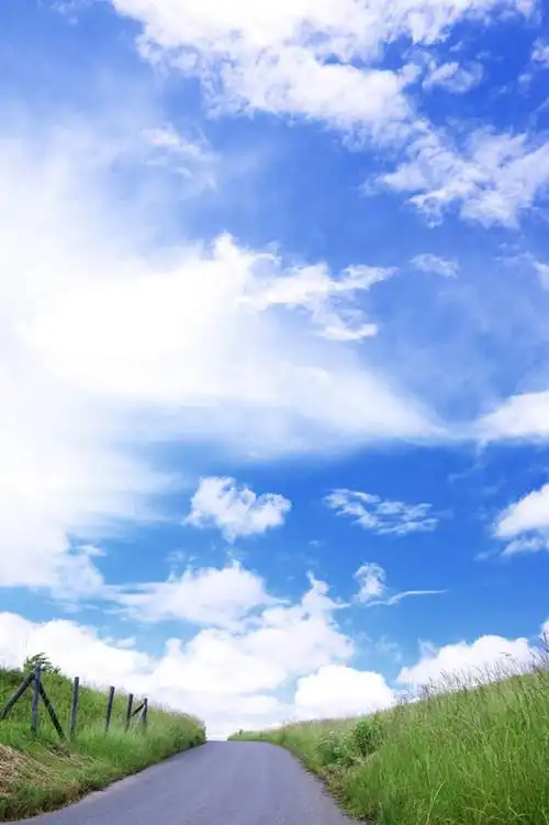 会员登录可下载 1024 无水印图片