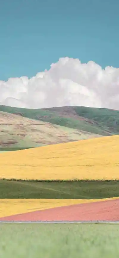 生活明朗,万物可爱.人间值得,未来可期.