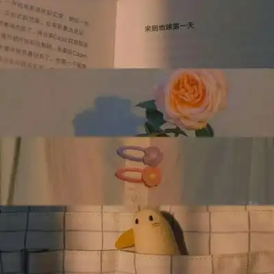 四宫格背景图生命不是安排而是追求