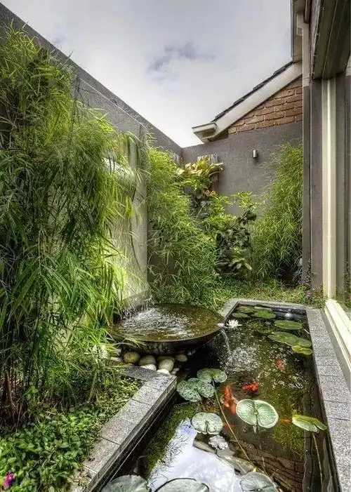 从风水的角度来说,又有化刚为柔的功效,它既可以滋养生命,在庭院设计