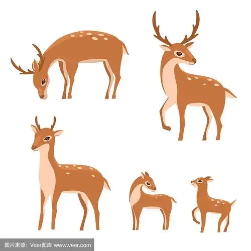 梅花鹿家族孤立在白色背景.矢量图形.