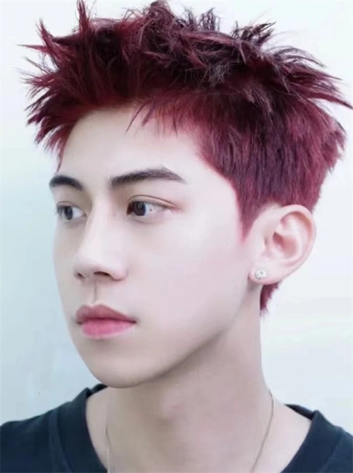 今年热门短发示范 男生帅气前刺发型_男士短发 - 美发站