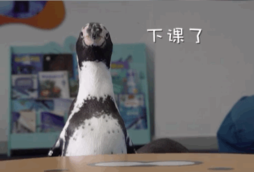 小卖部我来了小q:哥,等等我啊……-完-故事虽然是虚构但可爱的企鹅