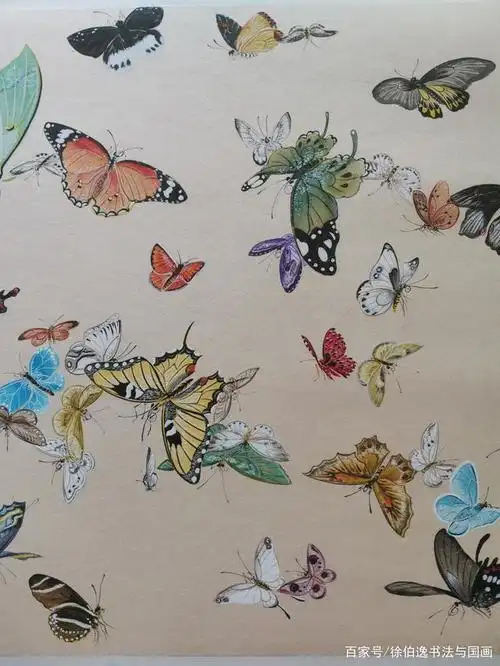 徐伯逸笔下的百蝶图