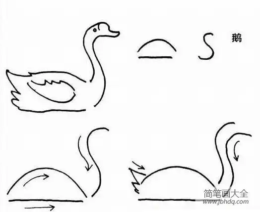大白鹅简笔画教程