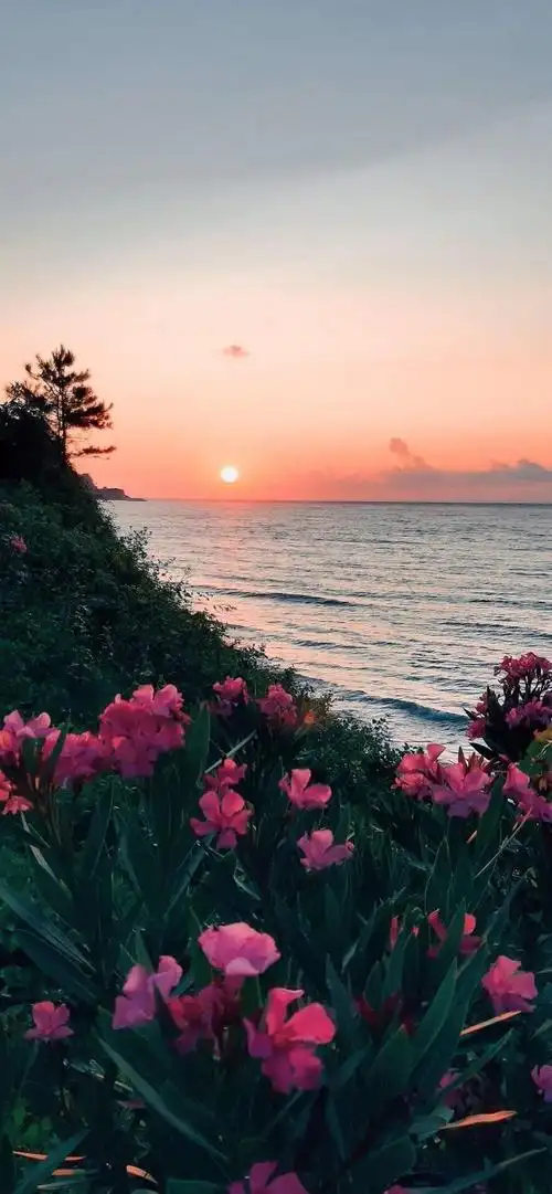 壁纸:高级感ins风手机全屏壁纸_腾讯新闻