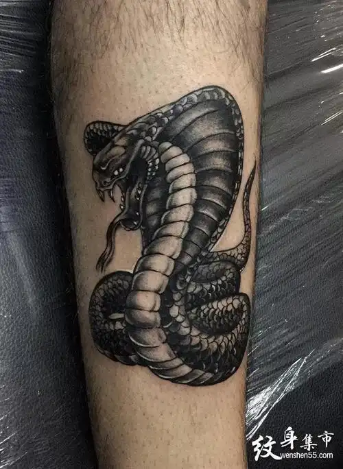 娜美00生成海报微信扫码分享三叉戟纹身手稿图案上一篇2021年7月31日