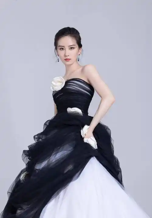 刘诗诗穿黑白抹胸纱裙显气质 锁骨精致笑容甜美优雅大方_发盘_玫瑰