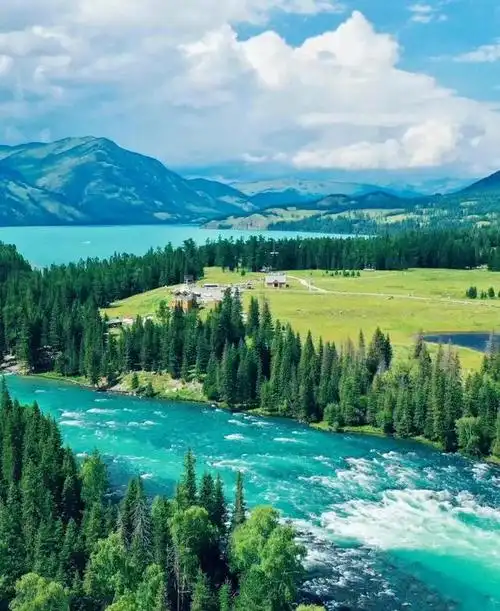 草地上一片耀眼的绿色,仿佛是大自然为游客们准备的绿色地毯