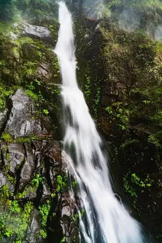 day 3 云谷飞瀑登高处,清脆醒耳浸竹海