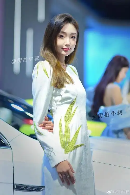 漂亮的美女车模