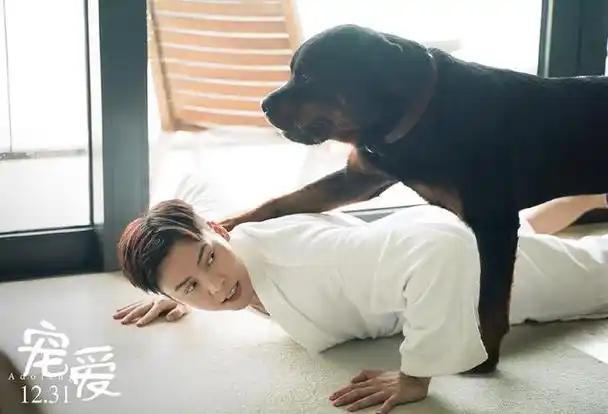 陈伟霆与狗合照(陈伟霆宠爱剧照曝光)(7)