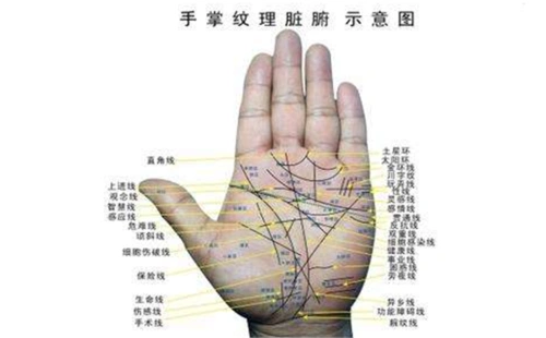 癌症手相特征分析,大家最好了解一下