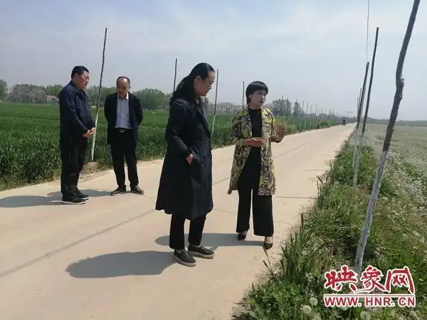 "鹿邑县第三届蒲公英花节暨蒲公英产业发展座谈会"在杨湖口镇召开