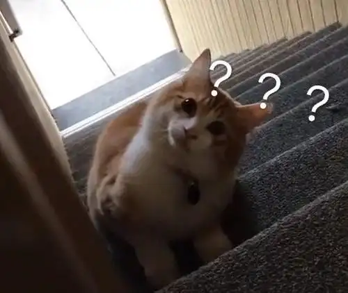 问号表情包合集小朋友你是否有很多问号