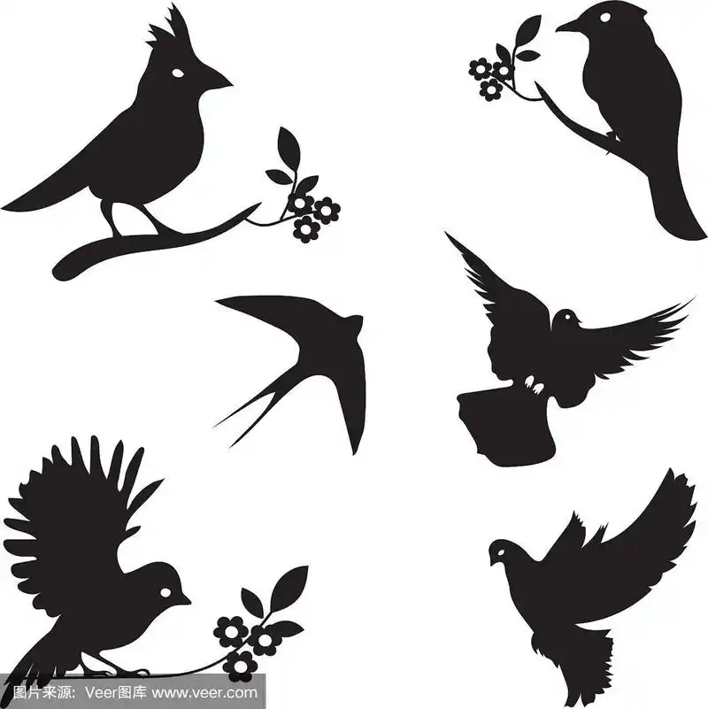 鸟类剪影集