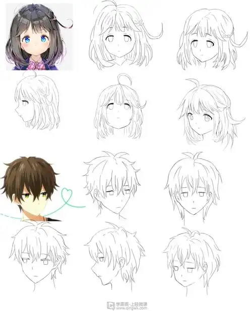 作业:动漫人物头部转向学习方法 - 熊啊 - 轻微课