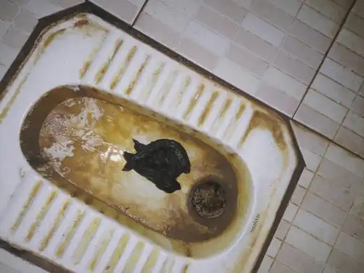 这个情况会出现胃出血吗?