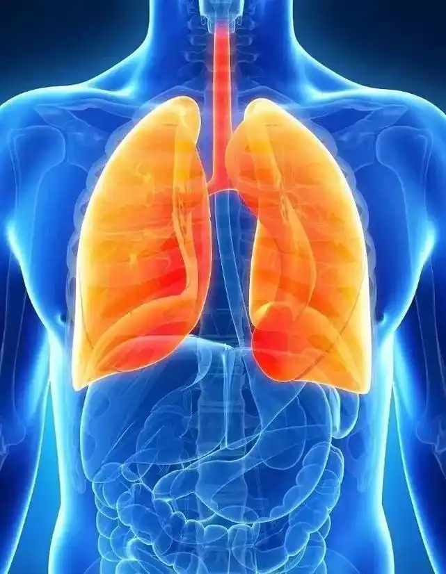 675_870竖版 竖屏