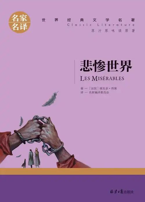 世界经典文学名著名家名译悲惨世界雨果畅销书籍读原著青少年版正版