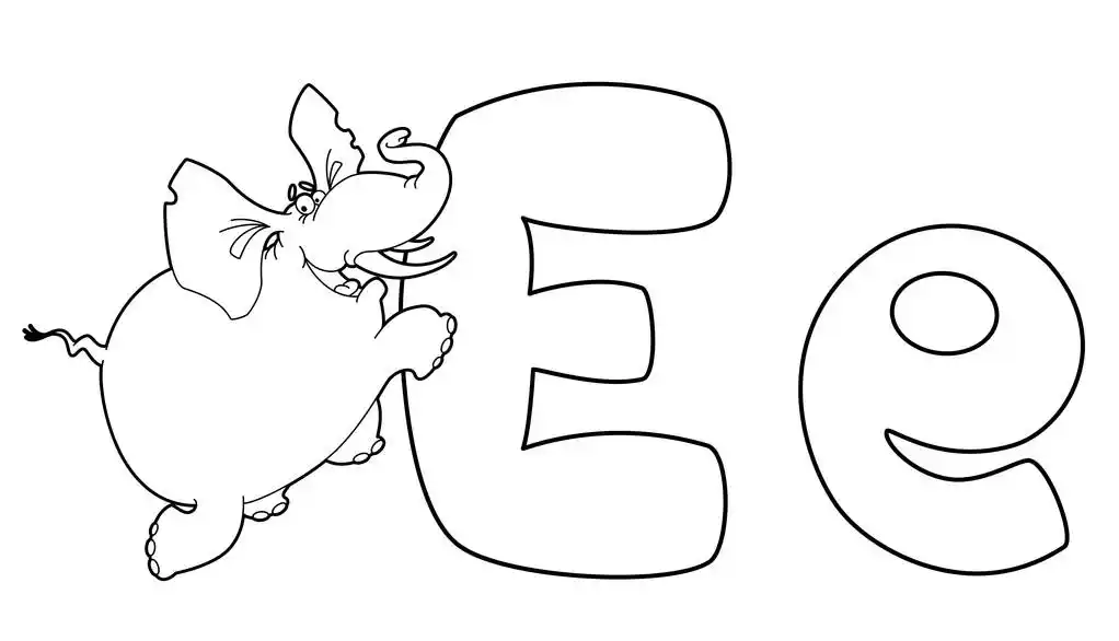 字母 e 大象概述