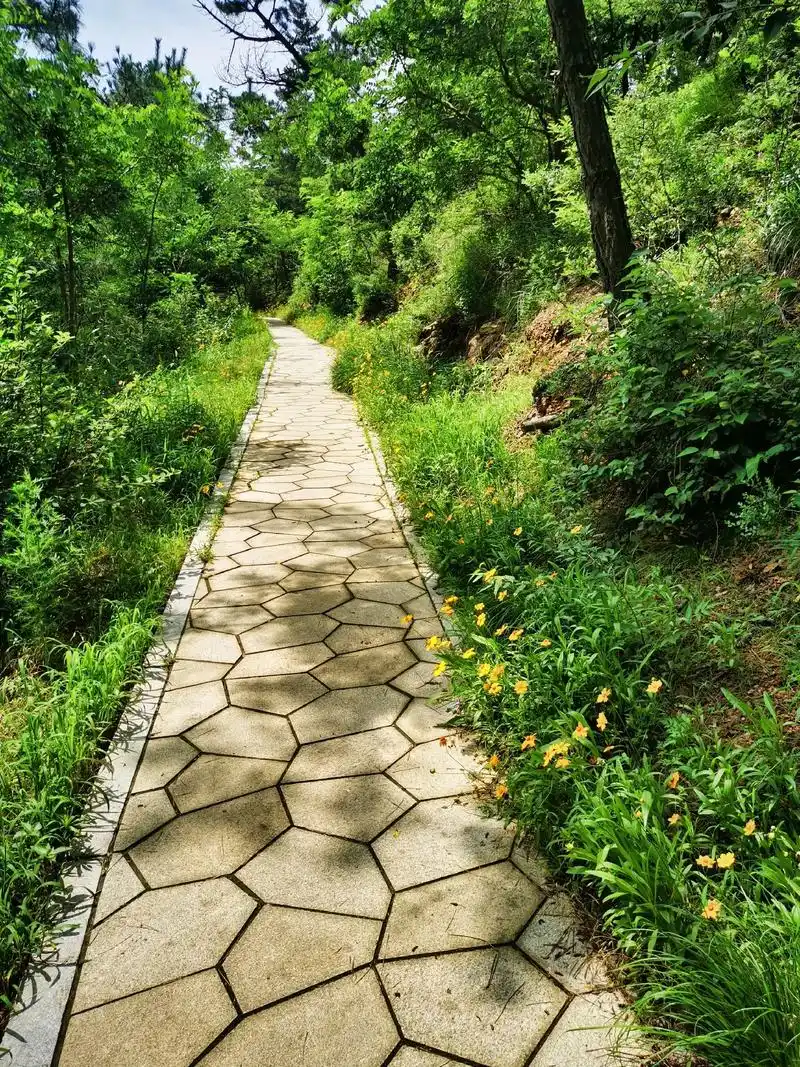 大连白云山山体公园美景随拍