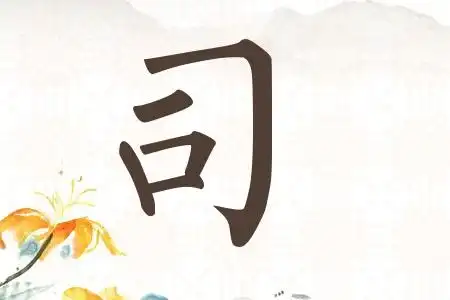 2022司姓男孩起名100分2022司姓女孩起名100分司姓虎年宝宝100分名字