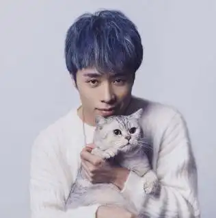 徐歌阳,中国内地女歌手.