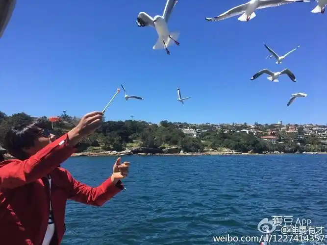 [黄致列][分享]161012 "孩子列"与海鸥嬉戏玩耍 明朗笑容难掩好心情