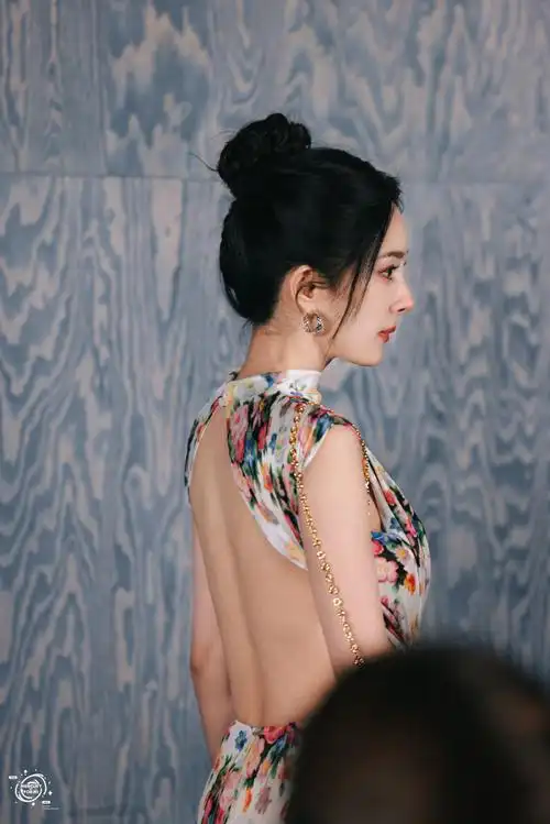 杨幂小水晚宴合照