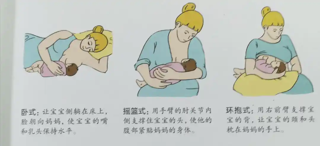 来自:《母乳喂养到辅食添加》(3)让宝宝含接乳晕的技巧让宝宝学会正确