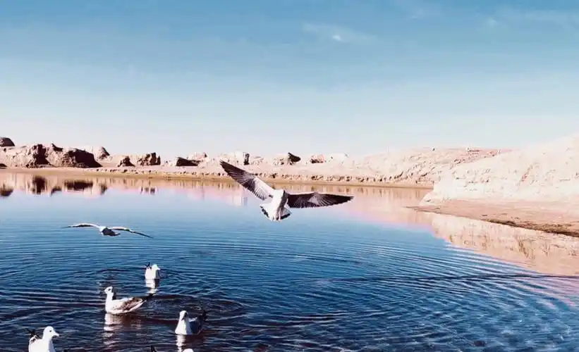 青海格尔木水上雅丹拍出杂志封面