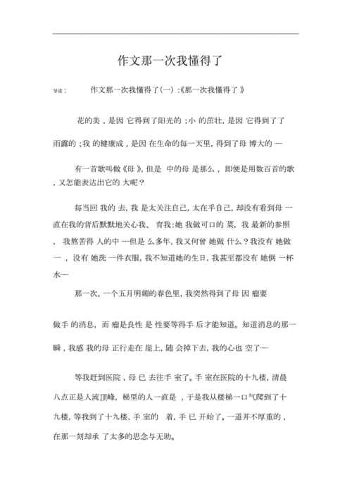 作文那一次我懂得了docx5页