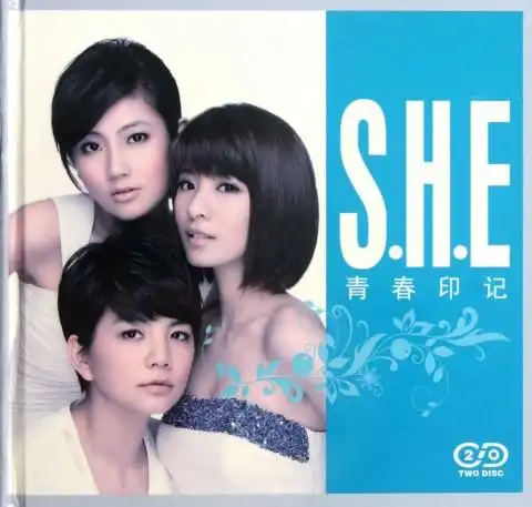 she青春印记(2碟装):国际文化交流音像出版社 : 音像电子产品 :歌曲