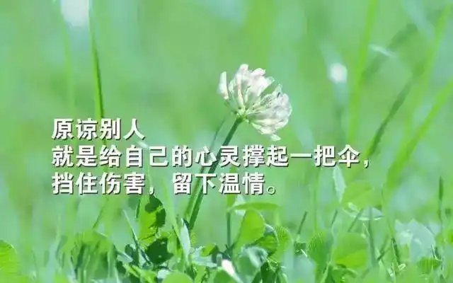 适合发朋友圈的心灵鸡汤经典的感悟人生的句子