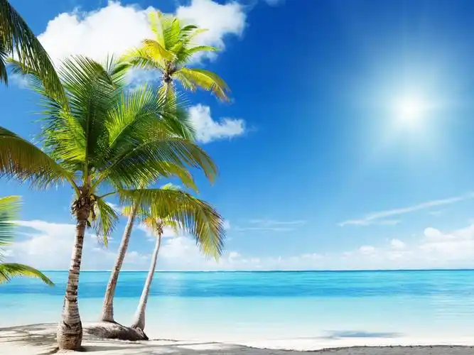 热带海滩天堂阳光-夏季风光高清壁纸