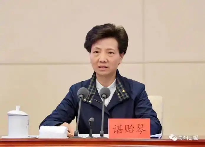 她长期在贵州工作,担任过贵州省委副书记,政法委书记,贵州省省长等