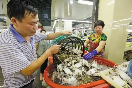菜市场里东海海鲜大量上市.记者许天长摄