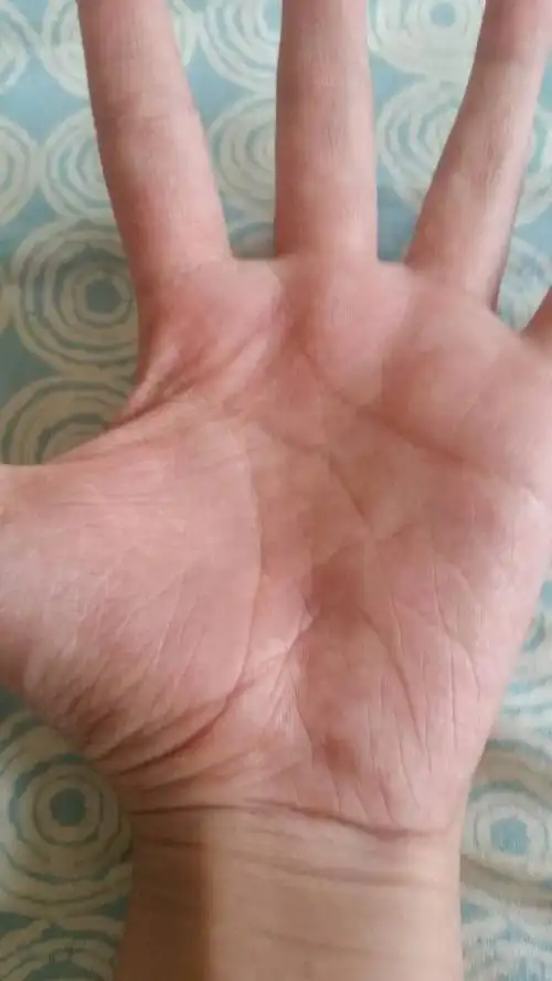 手纹很杂,想知道自己的命运,智慧等