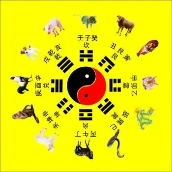 道教地垫阴阳太极八卦图地毯练功打坐垫防滑垫禅修垫 十二生肖八卦