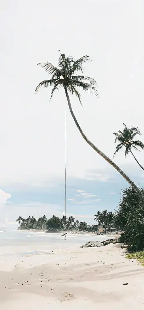 壁纸|iphone 4k 高质感壁纸